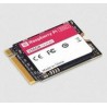 RASPBERRY DISCO DURO SSD NVME 256GB PARA RASPBERRY PI 5