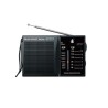 GENERICA RADIO PORTATIL NT7017 NEGRO