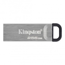 KINGSTON PENDRIVE 256GB DTKN/256GB