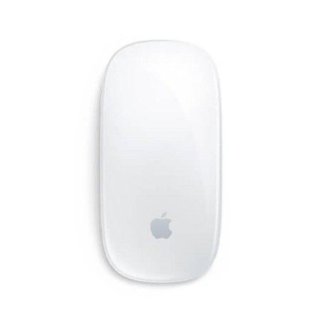 APPLE RATON MAGIC MOUSE PLATA