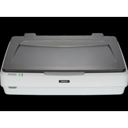 EPSON ESCANER GRAFICO EXPRESSION 12000XL