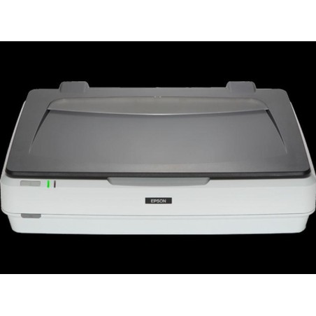 EPSON ESCANER GRAFICO EXPRESSION 12000XL