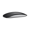 APPLE MAGIC MOUSE 2 GRIS ESPACIAL